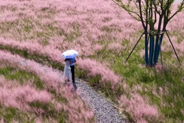 宜昌柏林河生态廊道全线贯通，拍照打卡一站搞定！