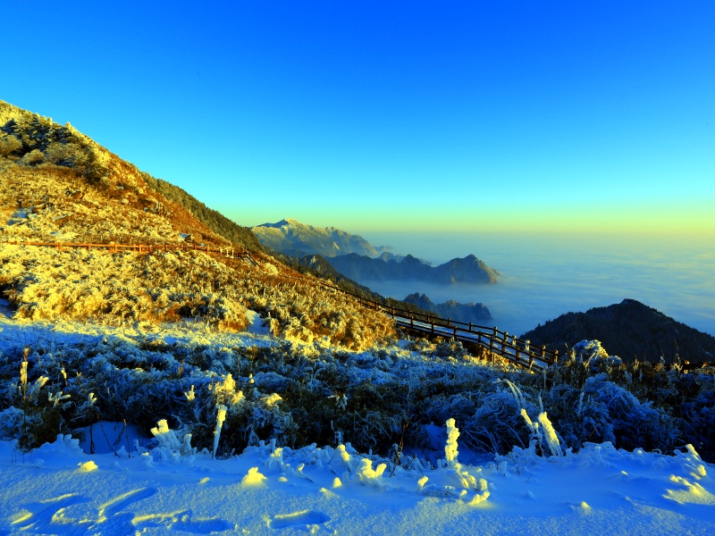 _94A5519姜勇摄_副本