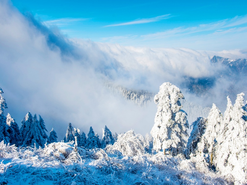 0002颜京利摄_副本