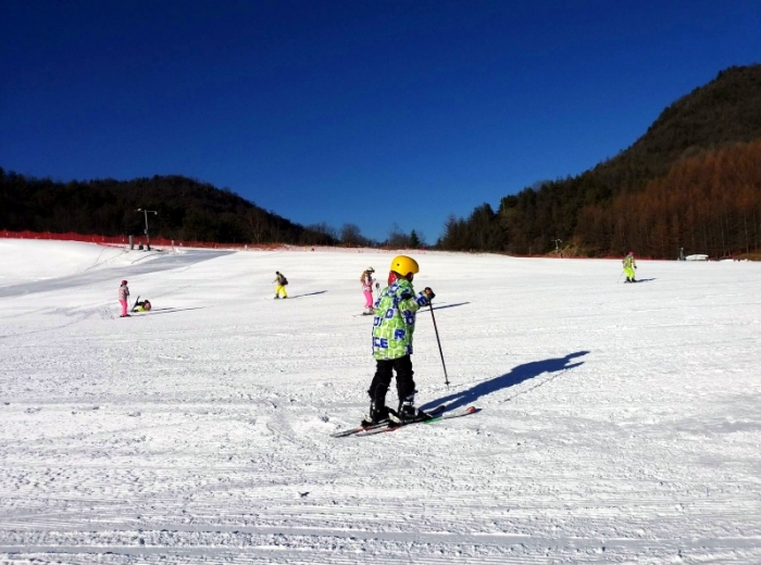 神农架冬季赏雪滑雪二日游（12人内VIP小团）图3