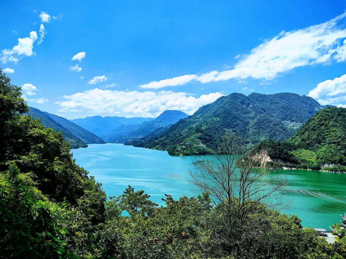 微信图片_2025-08-11_093526_245