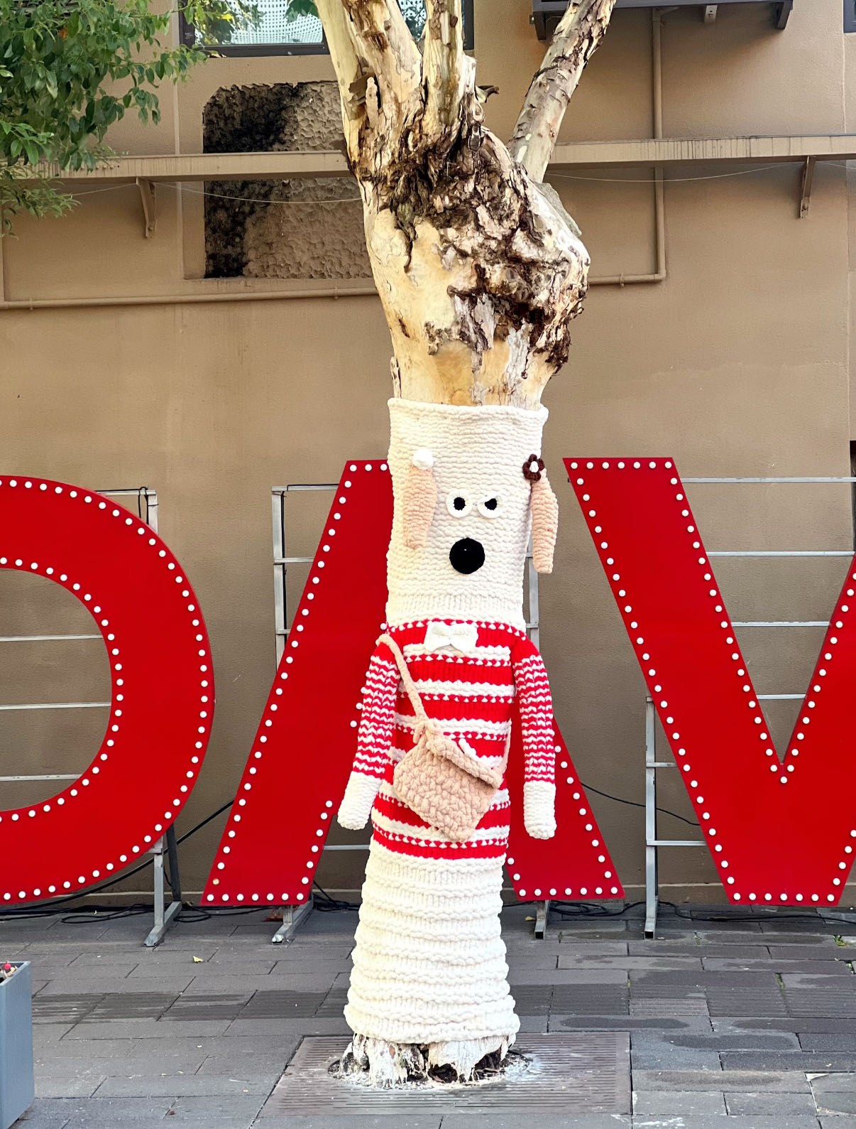 微信图片_2026-01-16_091954_541