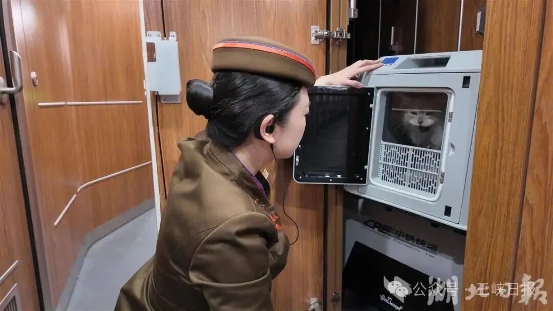 微信图片_2026-02-27_091413_938