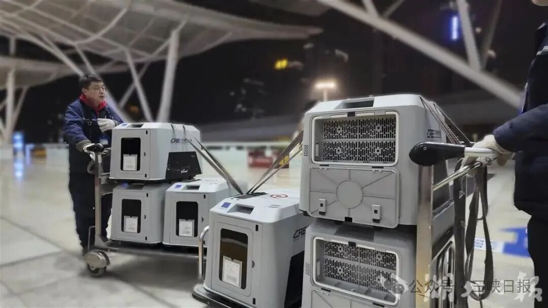 微信图片_2026-02-27_091547_363