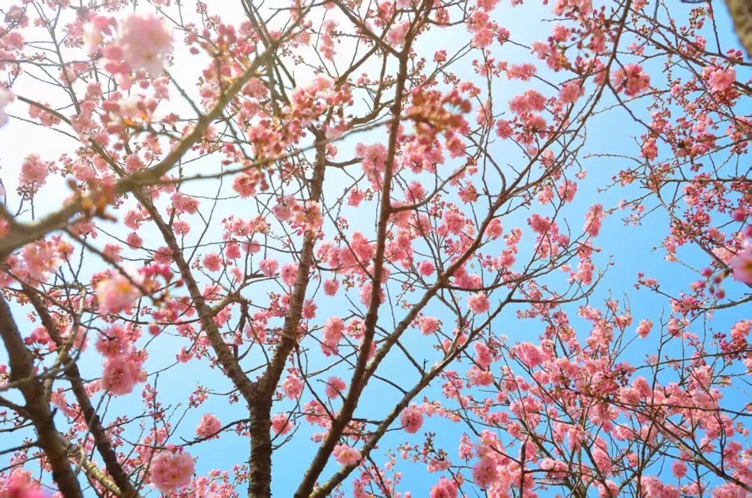 微信图片_2026-03-09_095935_079