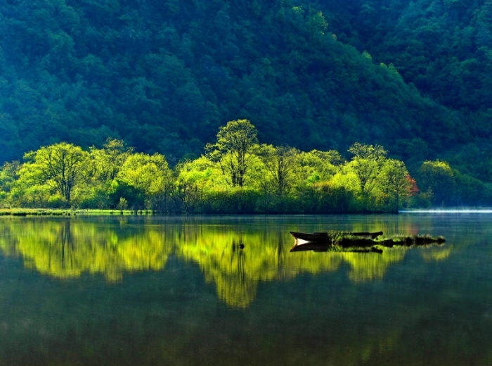 从宜昌出发·神农架【品质2日游小团】 深度游官门山+神农顶+大九湖+神农坛图5