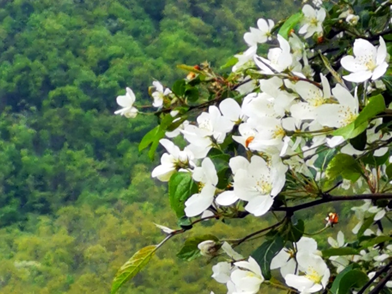 微信图片_20220524170305_副本