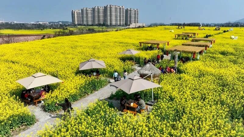 微信图片_2026-03-12_091325_369