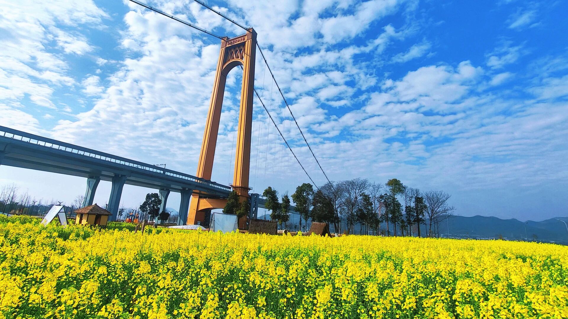 微信图片_2026-03-12_091851_089