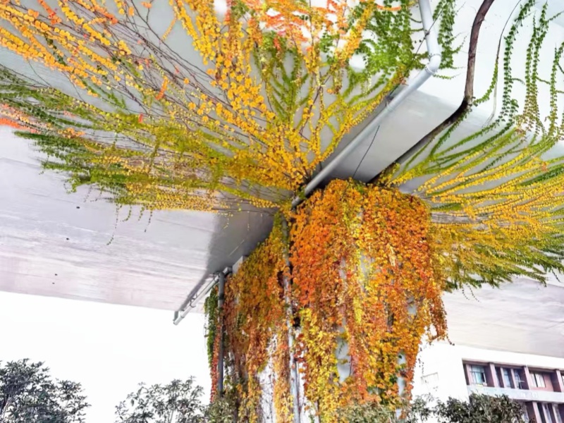 微信图片_2026-03-12_091546_666_副本