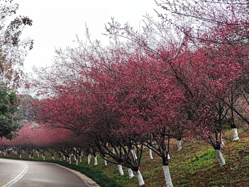 微信图片_2026-03-12_091637_121_副本