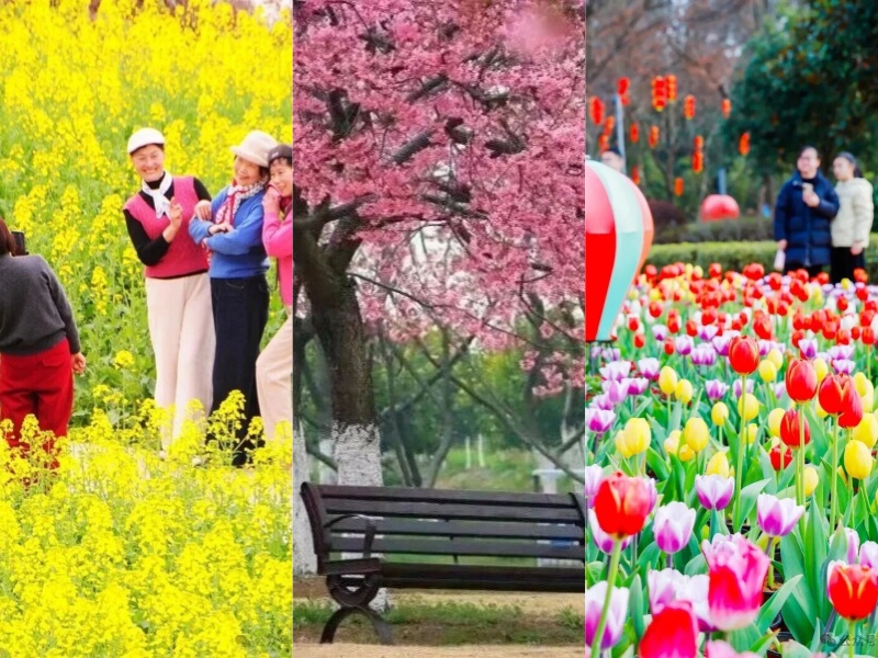 微信图片_2026-03-12_091910_336_副本