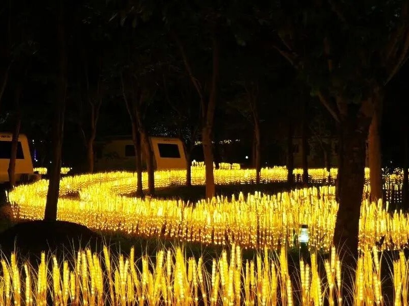 微信图片_2026-03-18_153332_173_副本