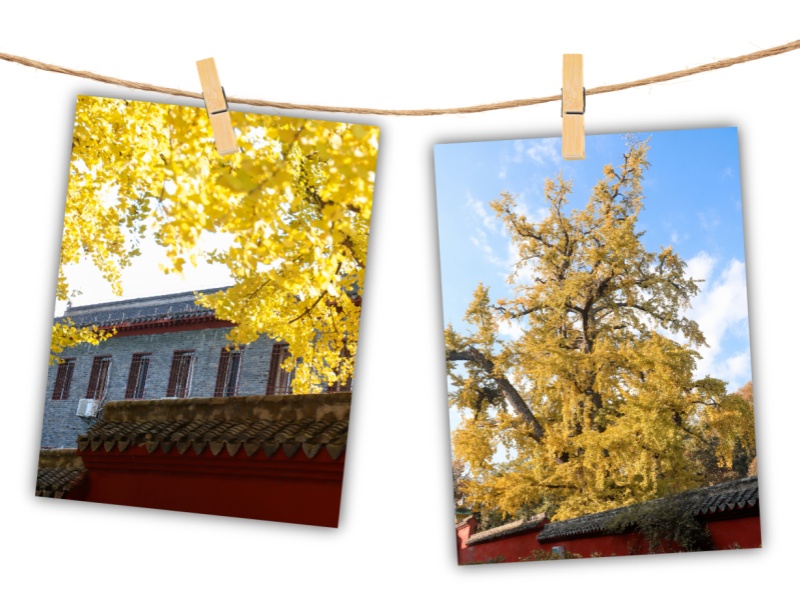 微信图片_2026-03-18_155934_235_副本