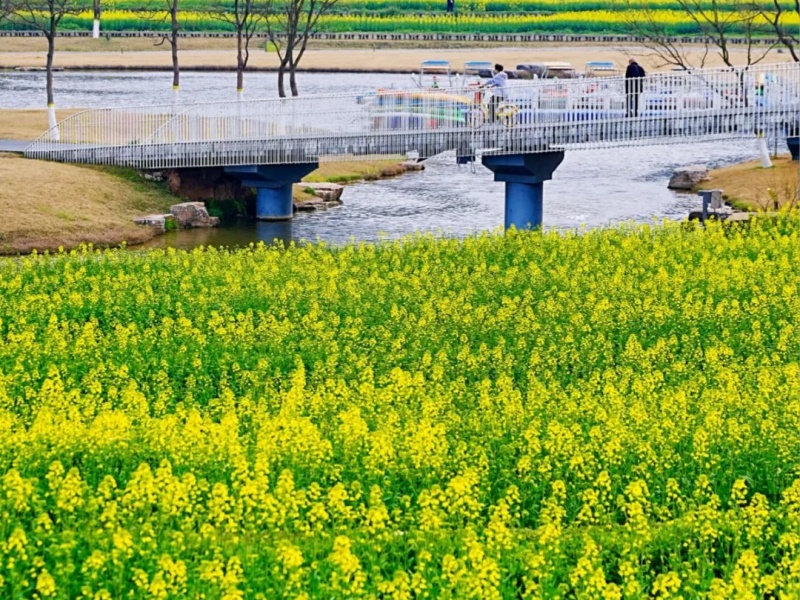 微信图片_2026-03-19_091727_034_副本