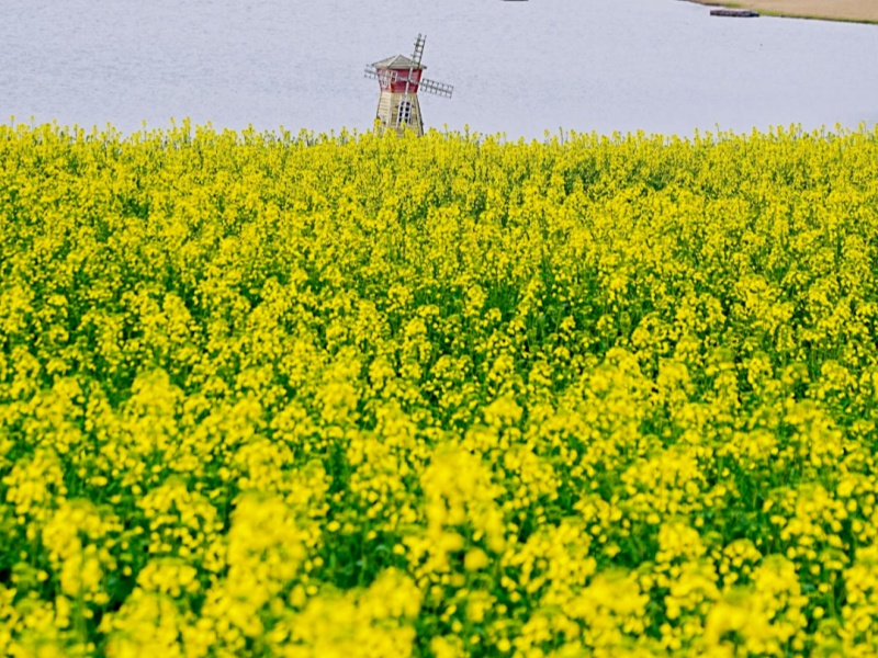 微信图片_2026-03-19_091831_203_副本