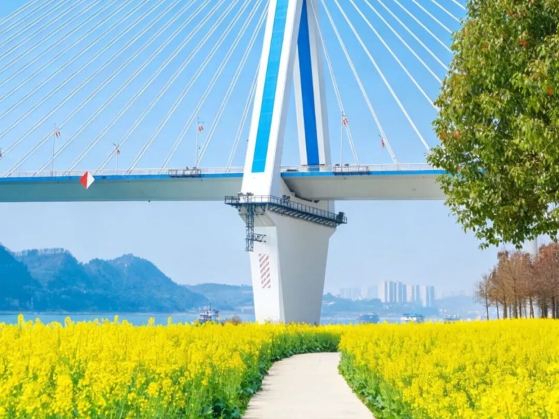 微信图片_2026-03-19_091837_859_副本