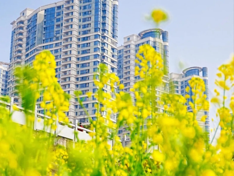 微信图片_2026-03-19_091847_249_副本