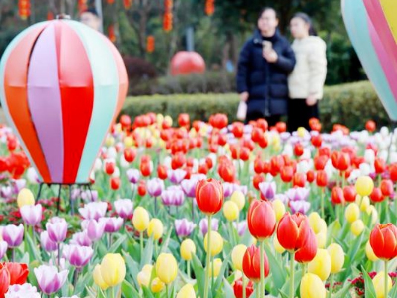 微信图片_2026-03-19_092134_635_副本