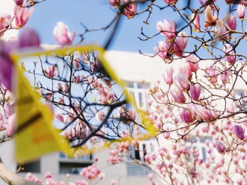 微信图片_2026-03-19_092217_882_副本