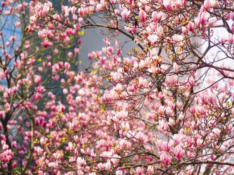 微信图片_2026-03-19_092228_250_副本