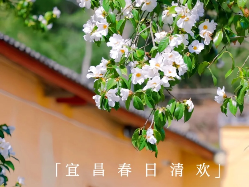 微信图片_2026-03-19_092316_651_副本