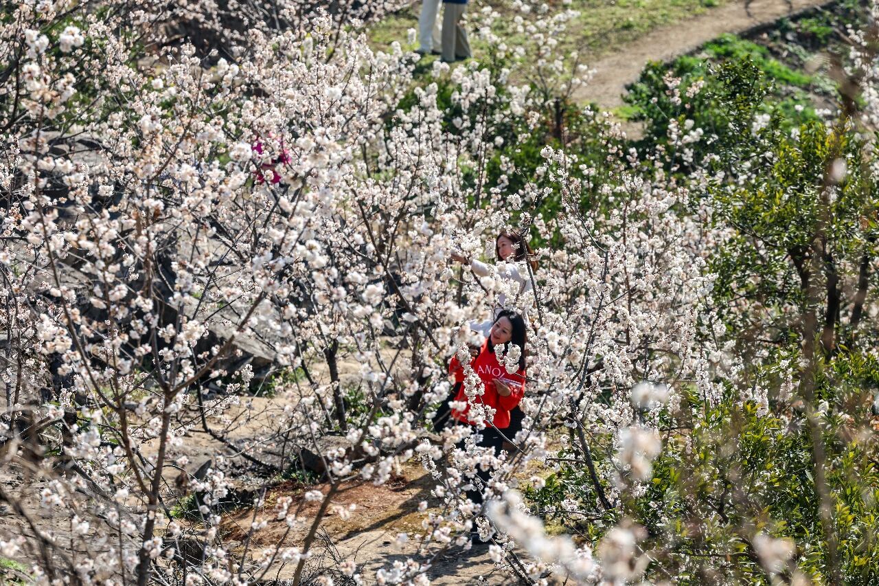 微信图片_2026-03-20_091358_473