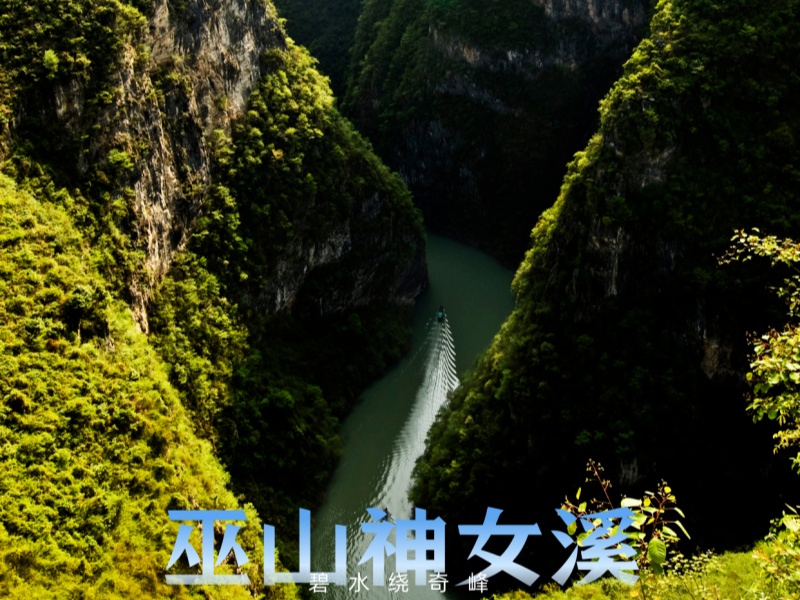 微信图片_2026-03-19_103524_167_副本