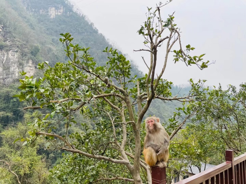微信图片_20220314155309_副本