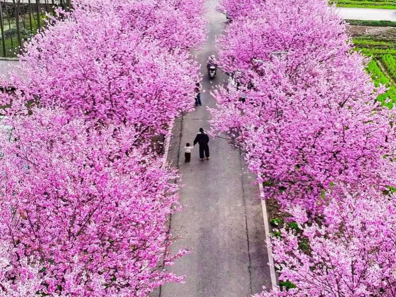 微信图片_2026-03-24_091724_599_副本