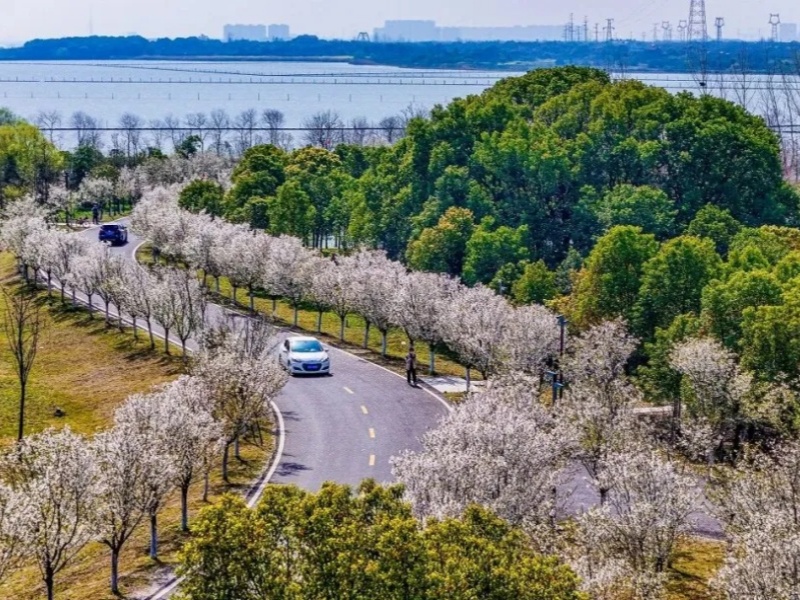 微信图片_2026-03-24_091736_919_副本