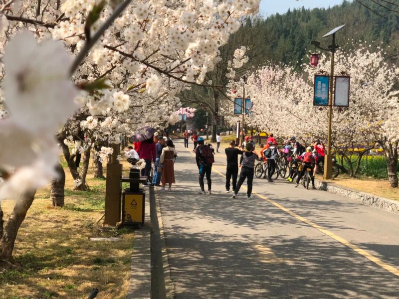 微信图片_2026-03-24_151214_699_副本