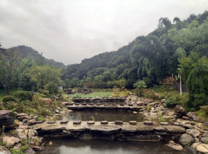 宋山森林公园图3