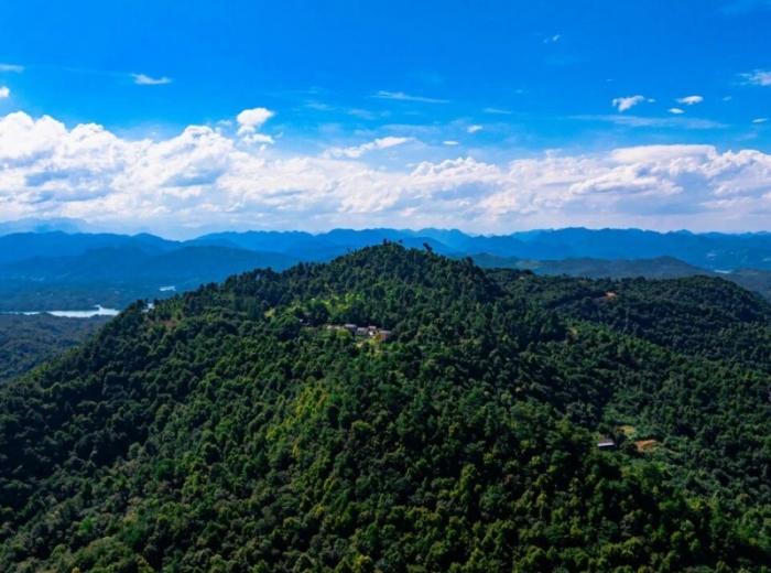 宋山森林公园图5