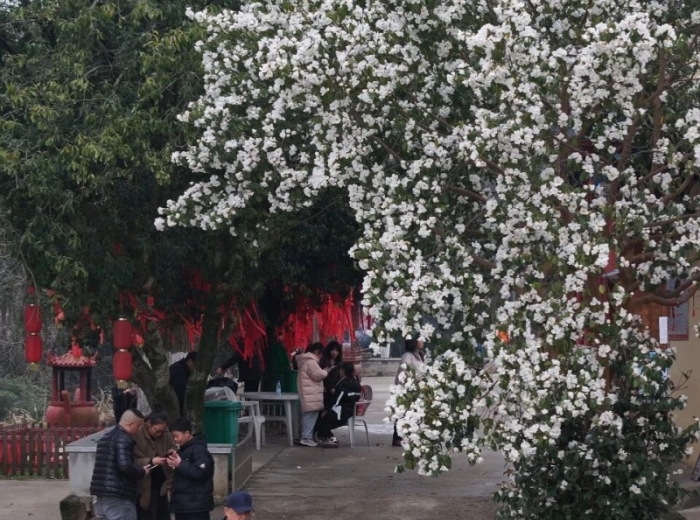 宋山森林公园图6