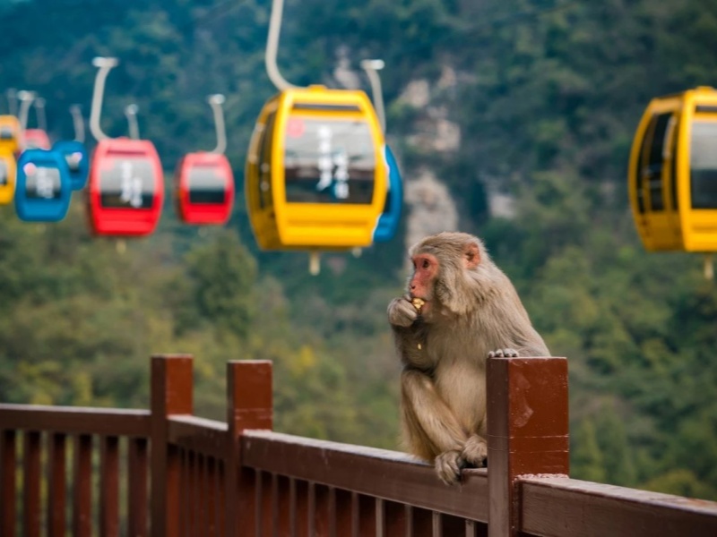 微信图片_20250328101943_副本