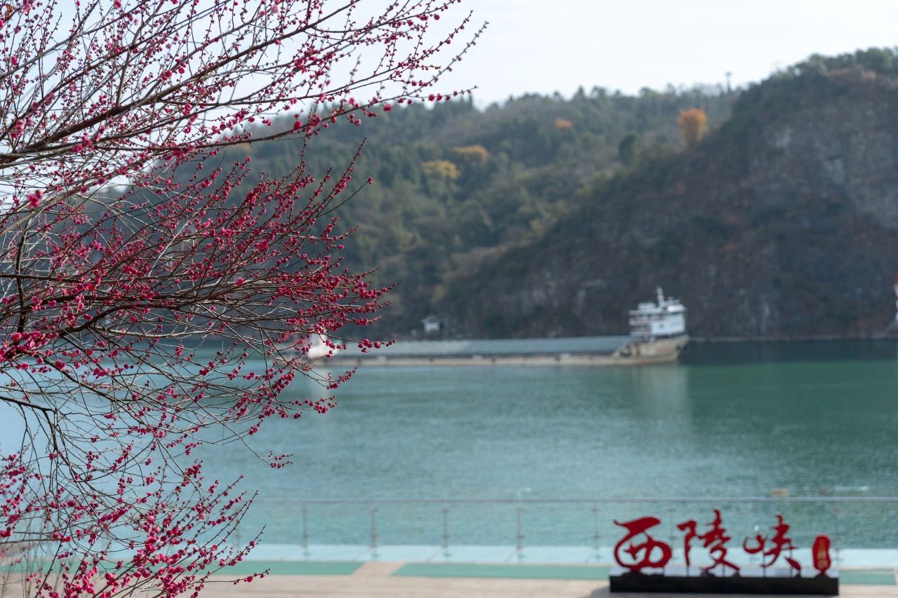 微信图片_20250328103928