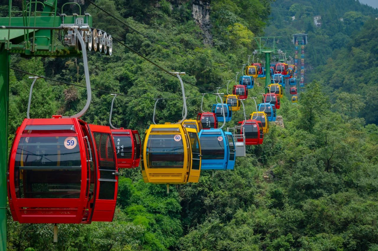 微信图片_20250328103959