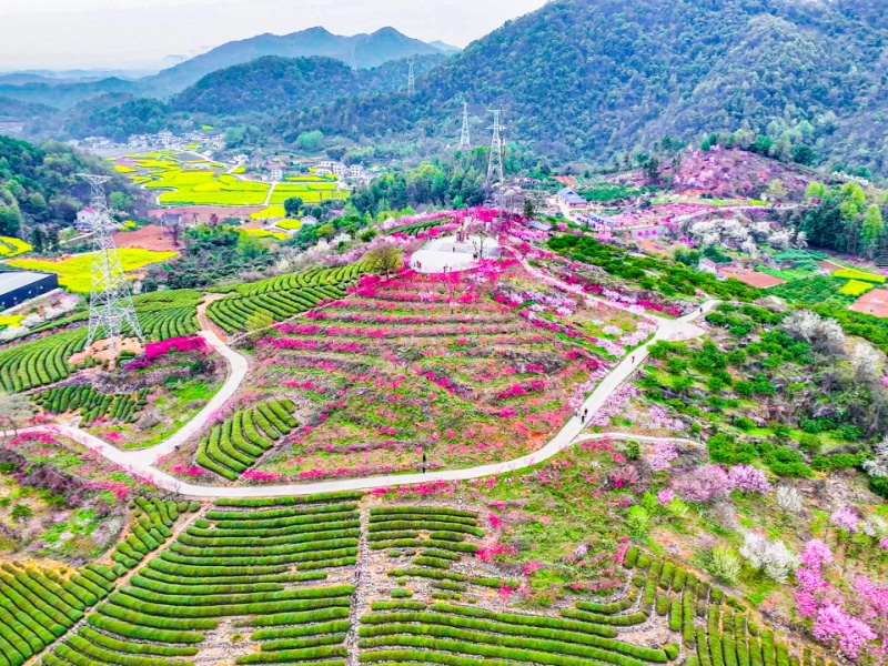 微信图片_2026-03-26_113102_182_副本