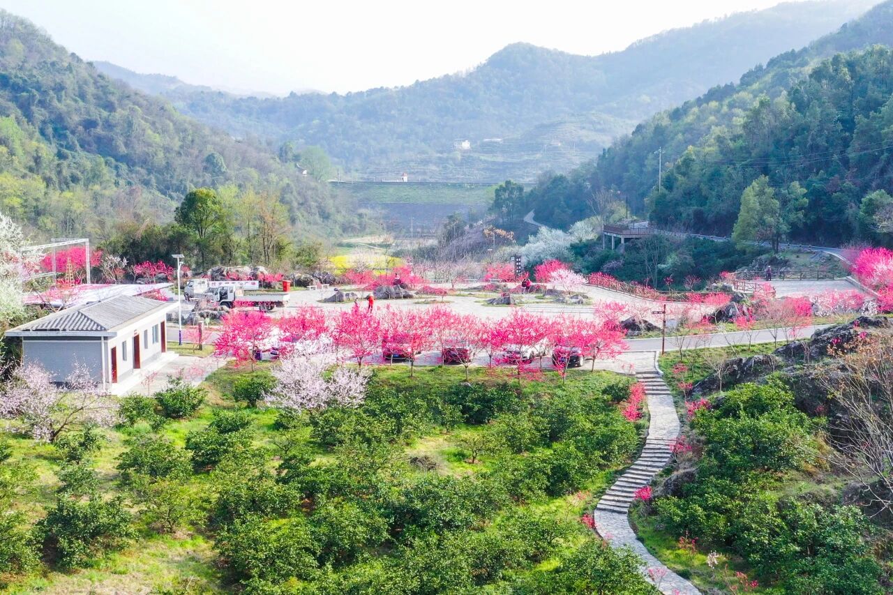 微信图片_2026-03-26_113247_583