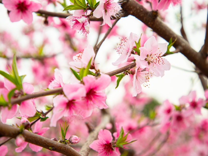 微信图片_2026-03-26_113301_847_副本