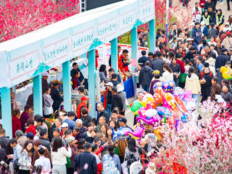 微信图片_2026-03-26_113257_424_副本