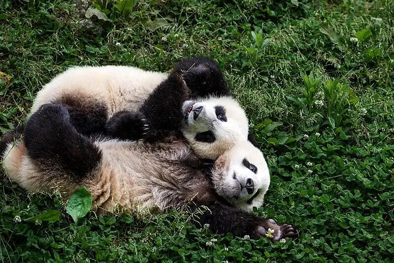 微信图片_2026-03-27_092136_828