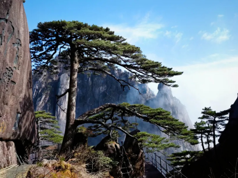 微信图片_2026-03-27_092132_670_副本