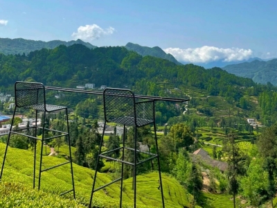 三峡茶旅小镇