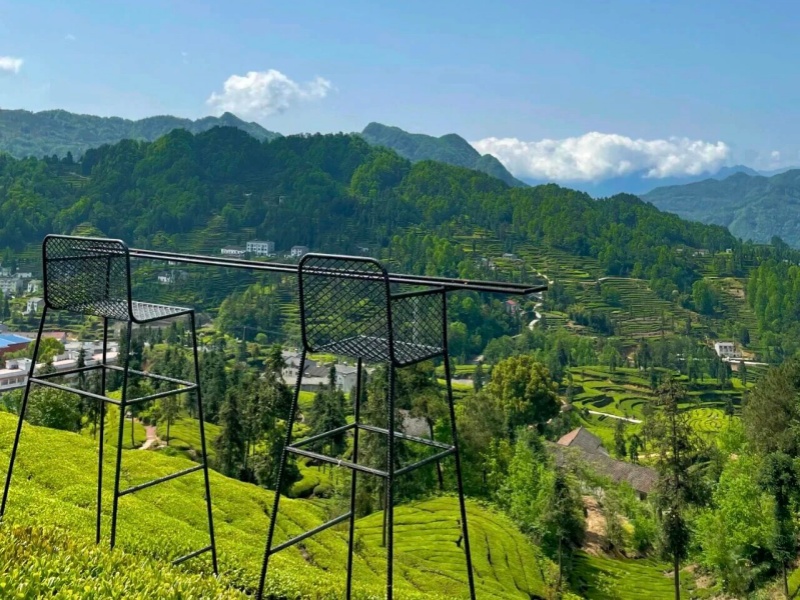 微信图片_2026-03-27_143803_110_副本