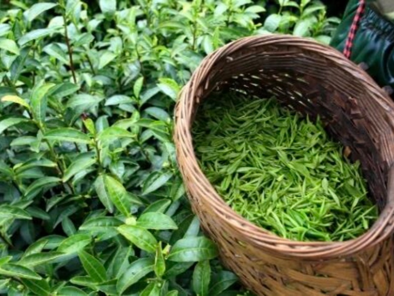 微信图片_2026-03-27_143809_550_副本