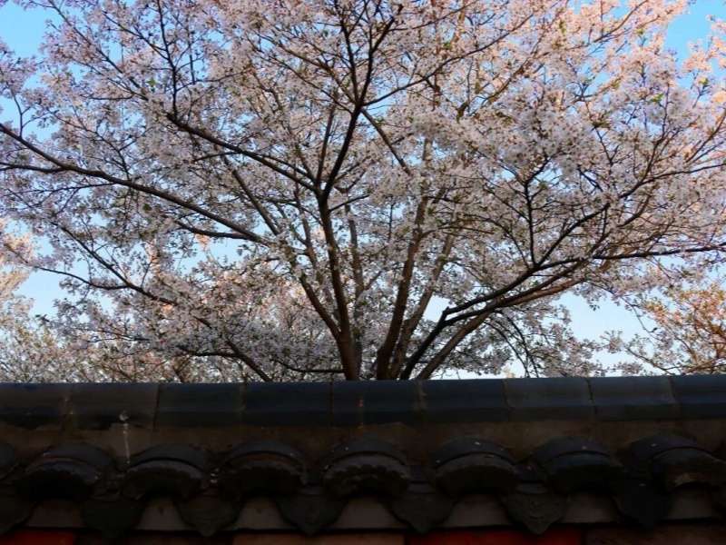 微信图片_2026-03-27_150411_619_副本