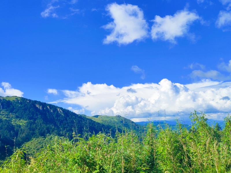 微信图片_20230810164735_副本