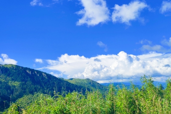 宜昌到神农架怎么去，宜昌到神农架出行攻略